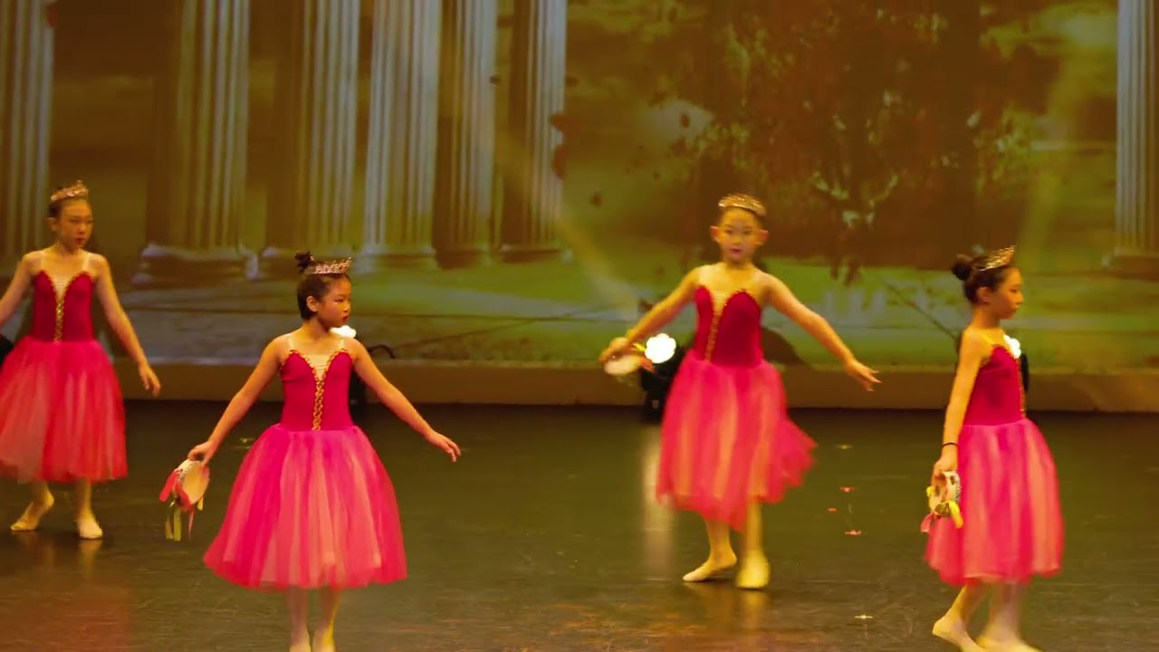 ballet dance performance 18