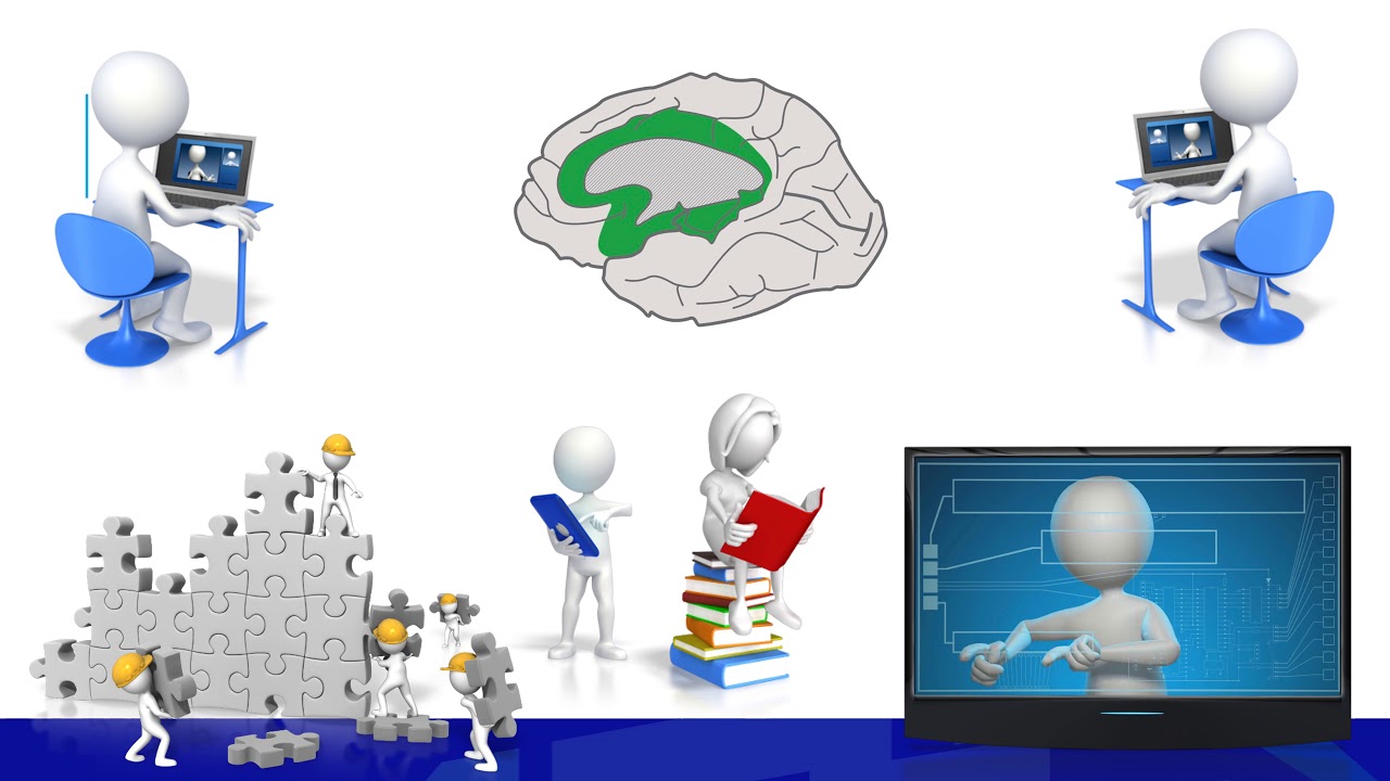 Universal Design for Learning in Higher Education