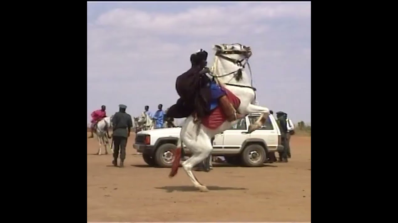 Air Solidarité au Sahel