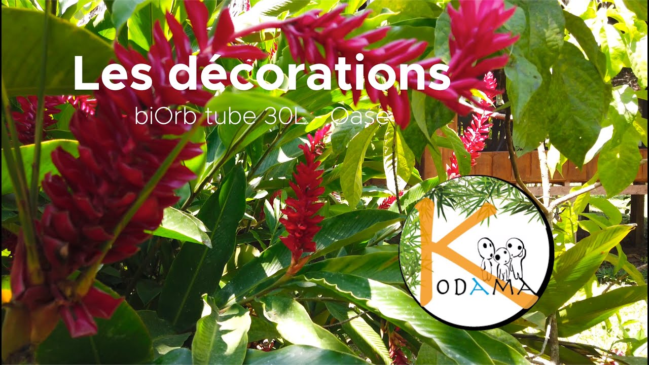 Décorations - biOrb tube 30L