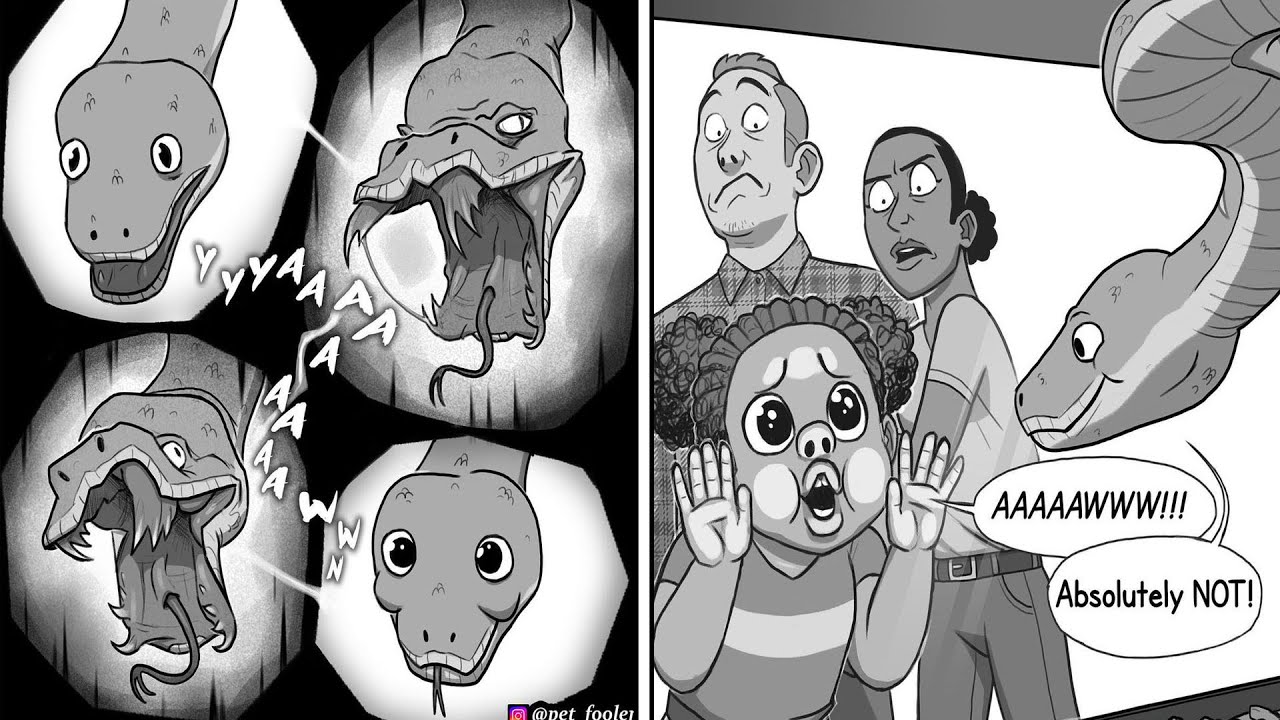 Funny Animals Comics With Unexpected Twists Ending | Panda Cute #12