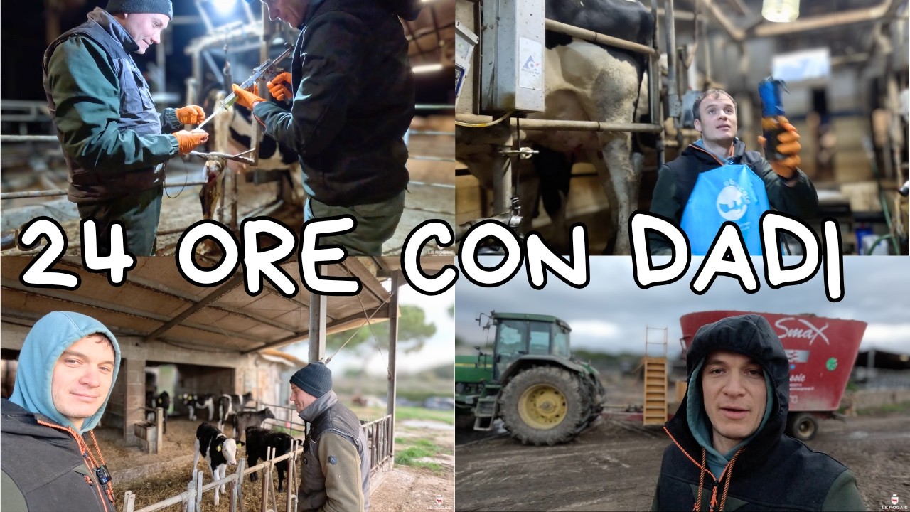 LA GIORNATA DI UN ALLEVATORE DI 30 ANNI