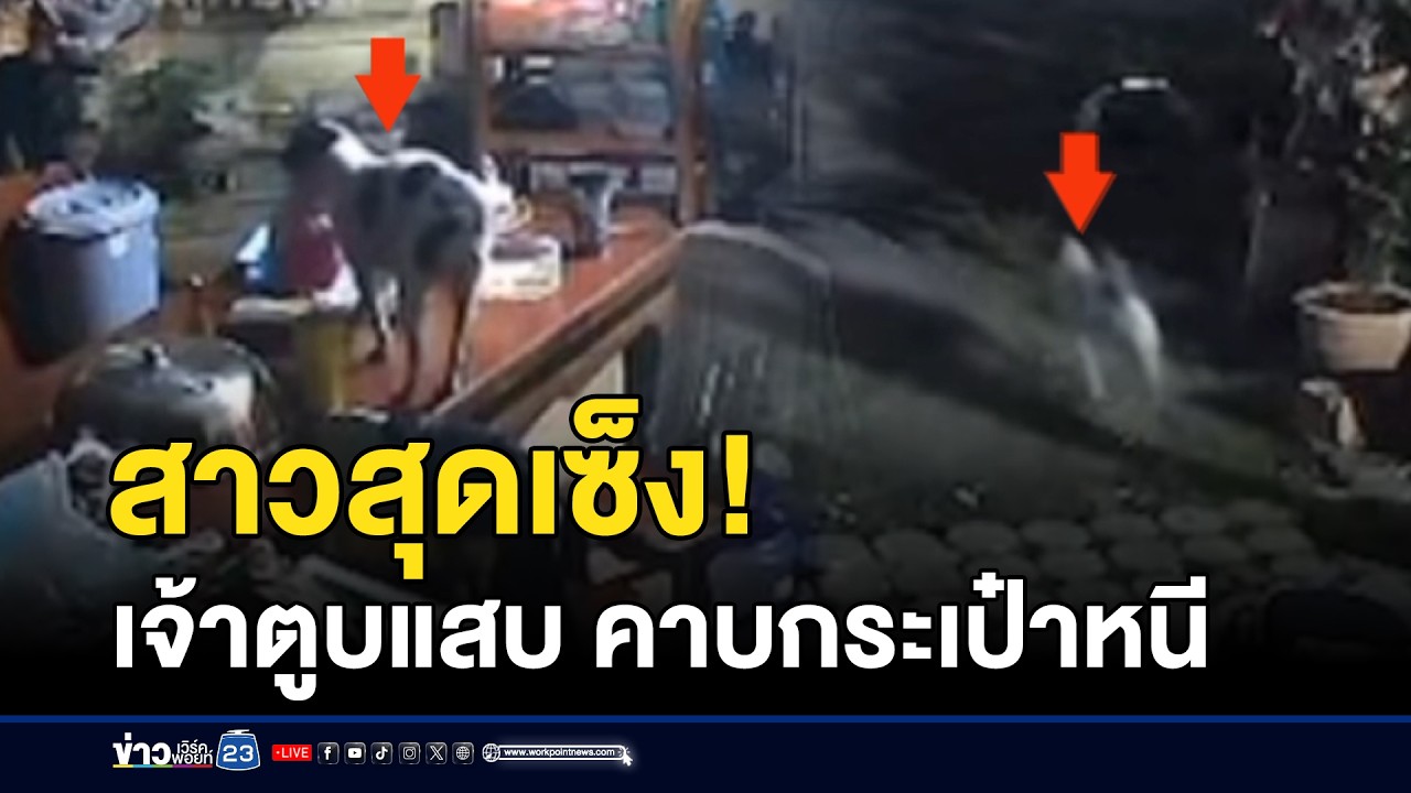 สาวสุดเซ็ง! เจ้าตูบแสบ คาบกระเป๋าหนี | ตลาดข่าว - ข่าวเช้าเวิร์คพอยท์ | 22 ก.พ. 69