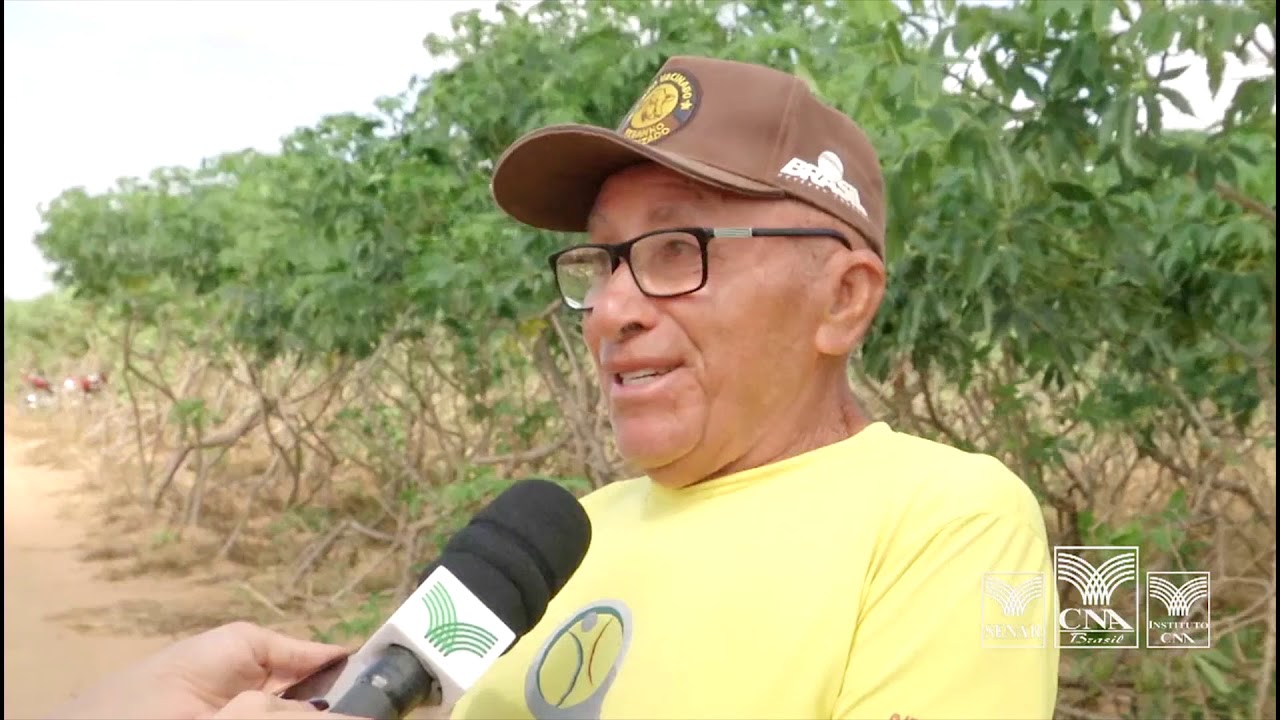 Sindicato Rural de Arapiraca (AL) é exemplo bem-sucedido na prestação de serviços aos produtores