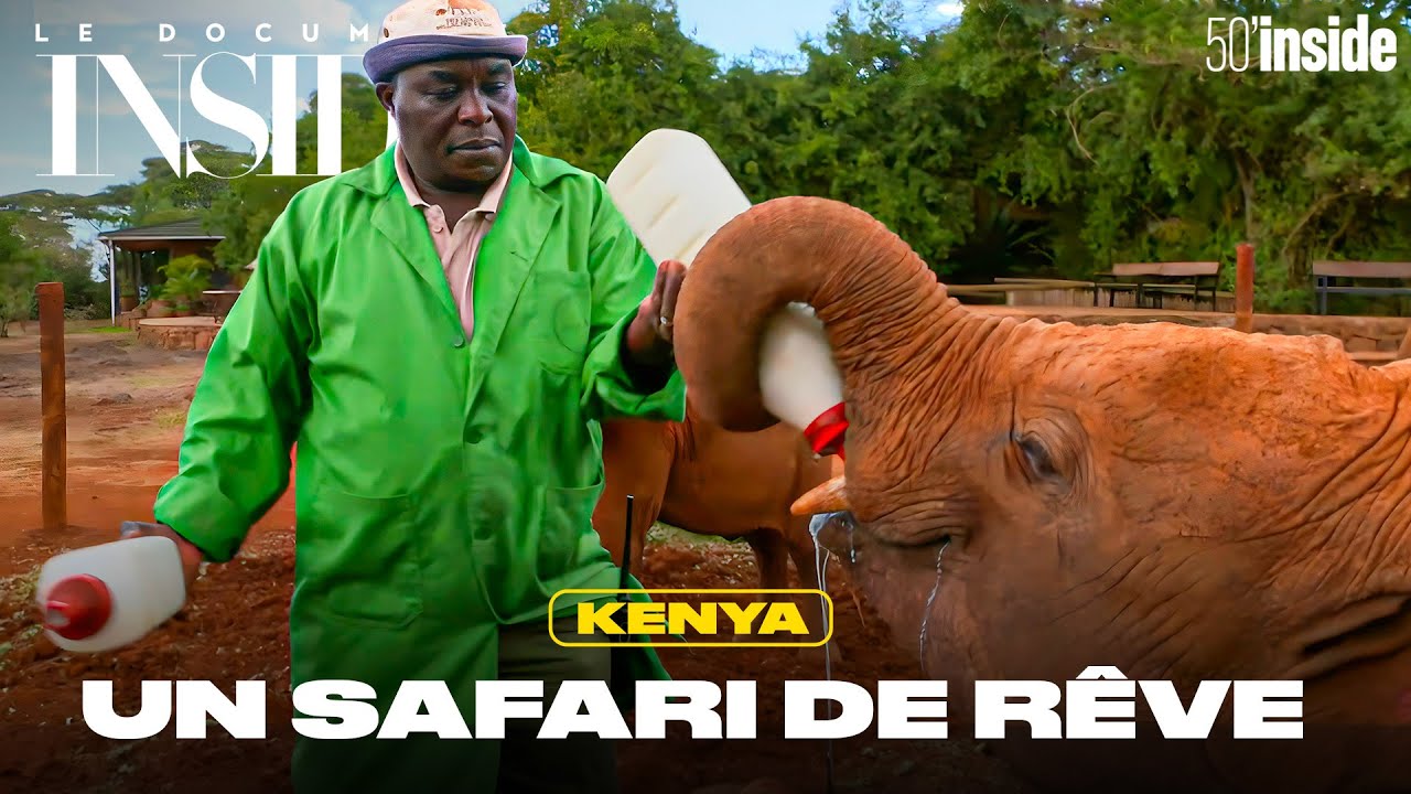 Un safari au Kenya | 50’Inside | Voyager dans le monde
