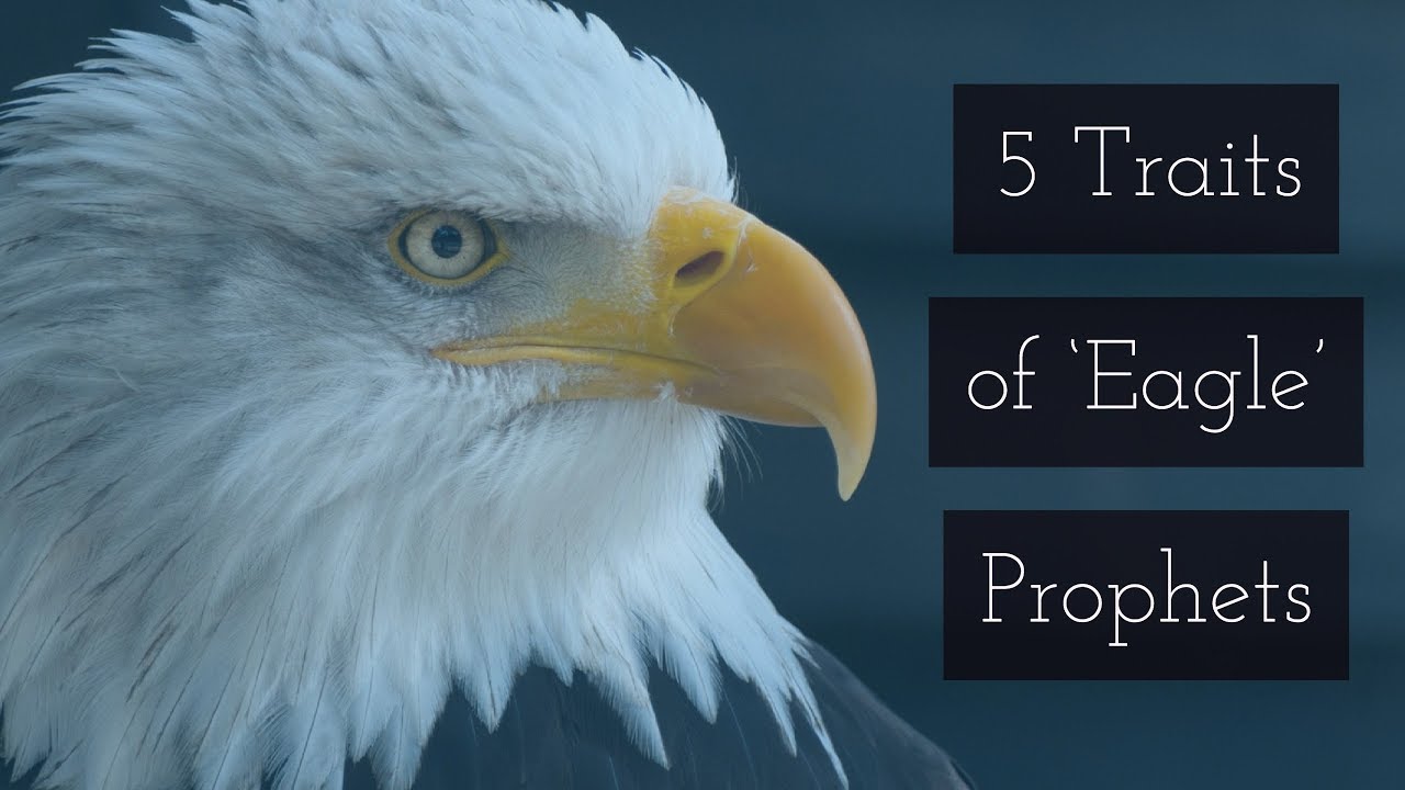 5 Traits of 