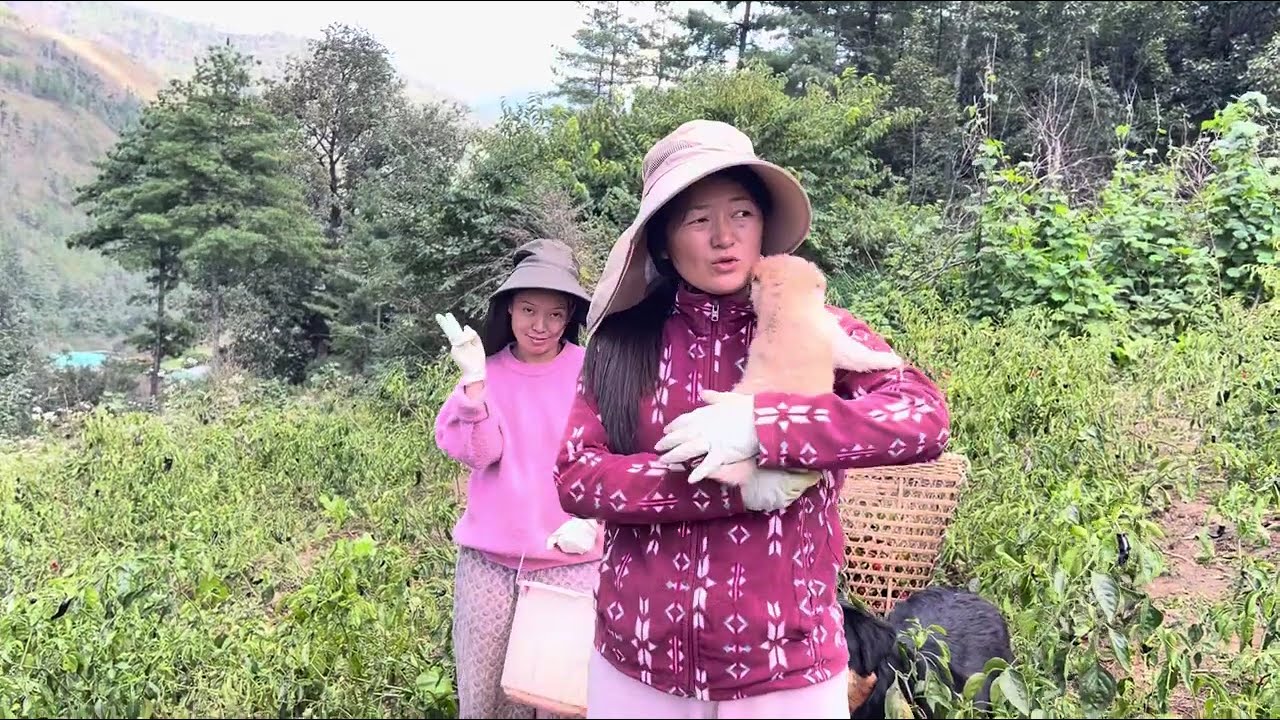Countryside weekend Life#tibetanvlogger #bhutanesevlogger 