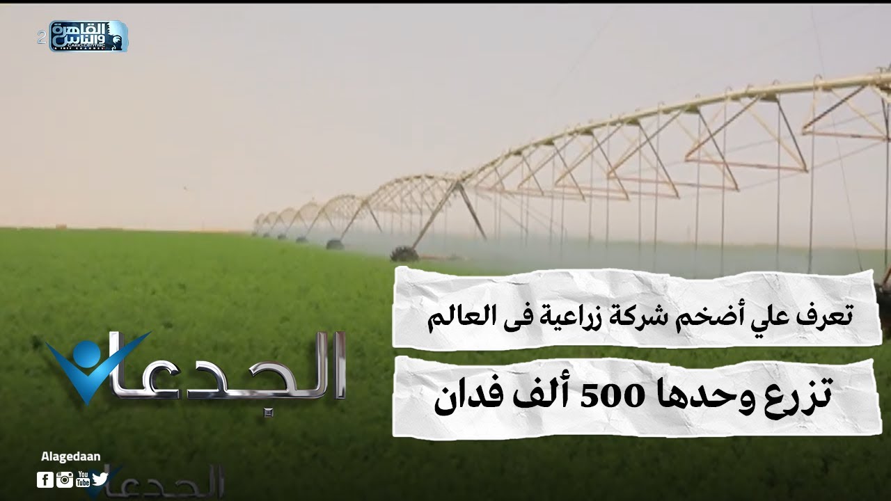 تعرف علي أضخم شركة زراعية فى العالم .. تزرع وحدها ٥٠٠ ألف فدان