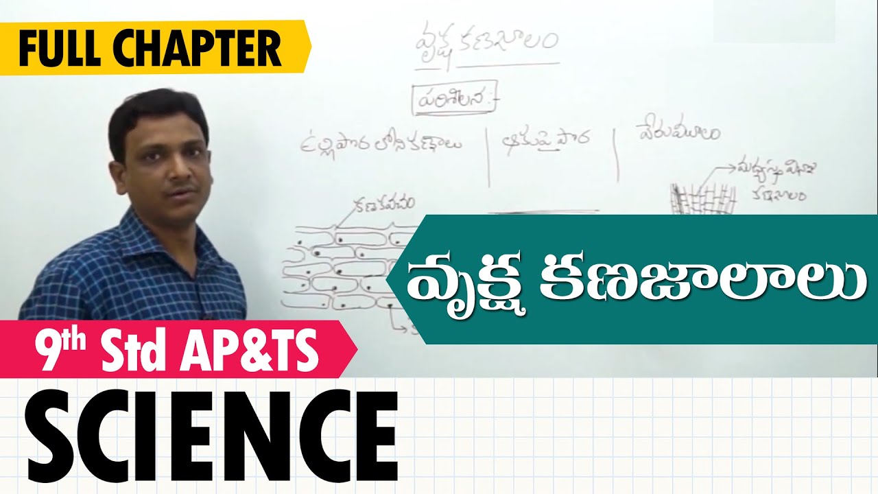 Plant tissues | వృక్ష కణజాలాలు | Class 9 Science (T.M)