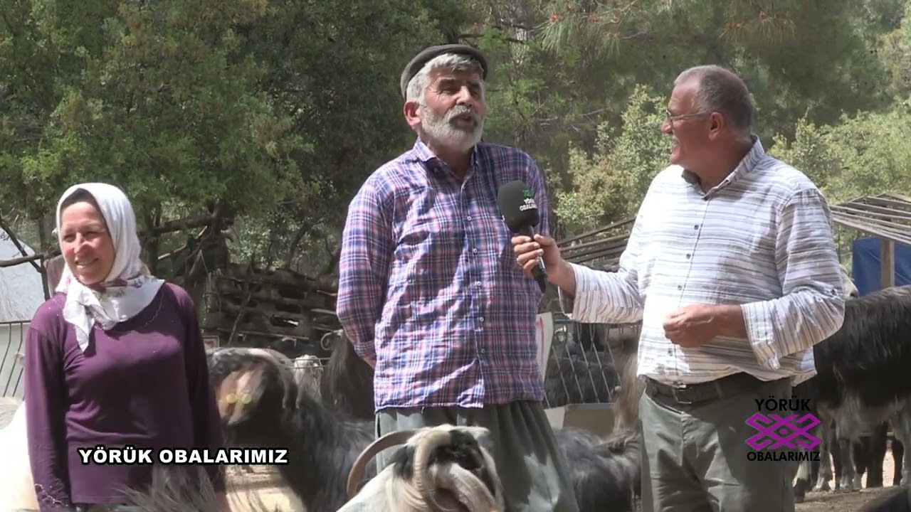 KEÇİ ÇOBANLIĞININ SIRLARI.   ÇOBANDA, ÇOBAN OLMAYANDA SEYRETSİN