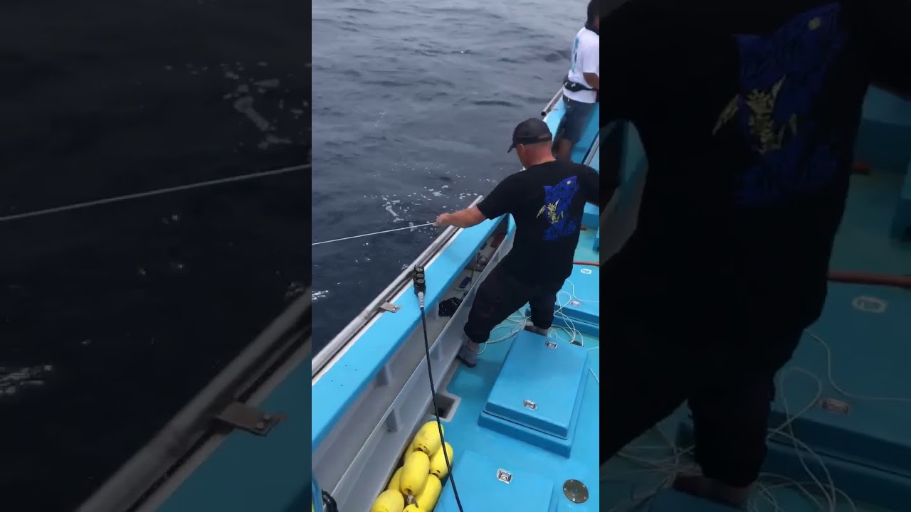 竜海丸の親方・・・相模湾の生態系頂点に君臨する漢