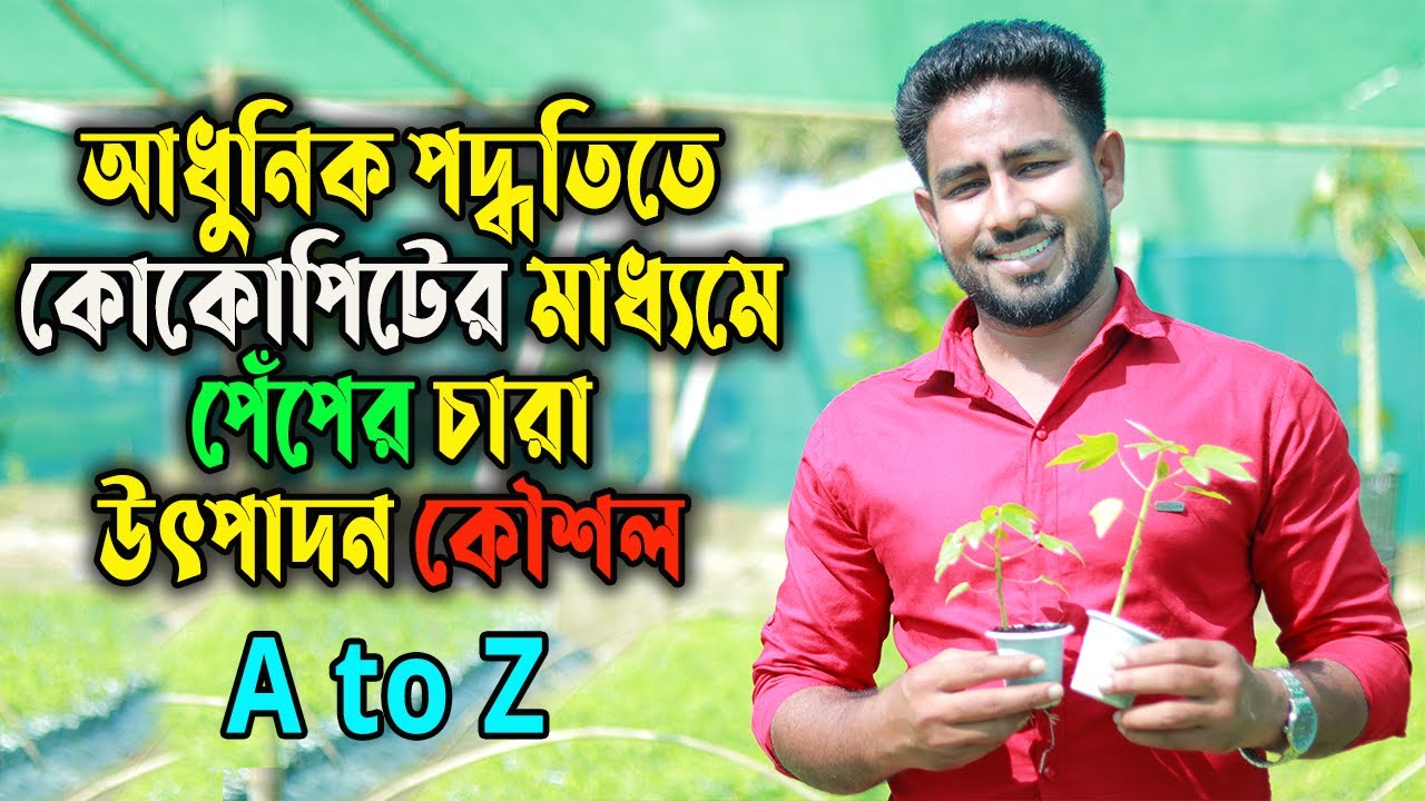 আধুনিক পদ্ধতিতে কোকোপিটের মাধ্যমে পেঁপের চারা উৎপাদন কৌশল A-Z | Agro One -একটি আধুনিক কৃষি প্রচেষ্টা