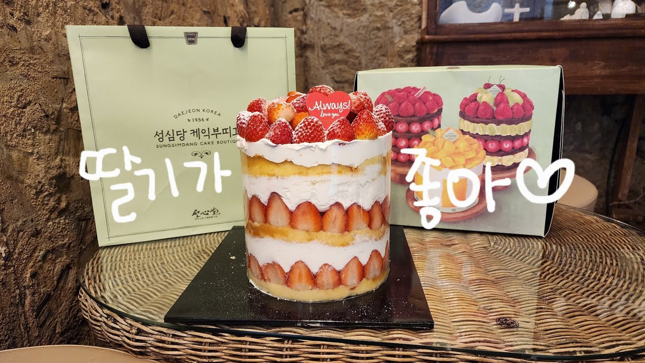 딸기시루 사러 월요일 오픈런하고 성심당본점/성심당케익부띠끄/성심당문화원 도장깨기하는 빵순이 대전 브이로그