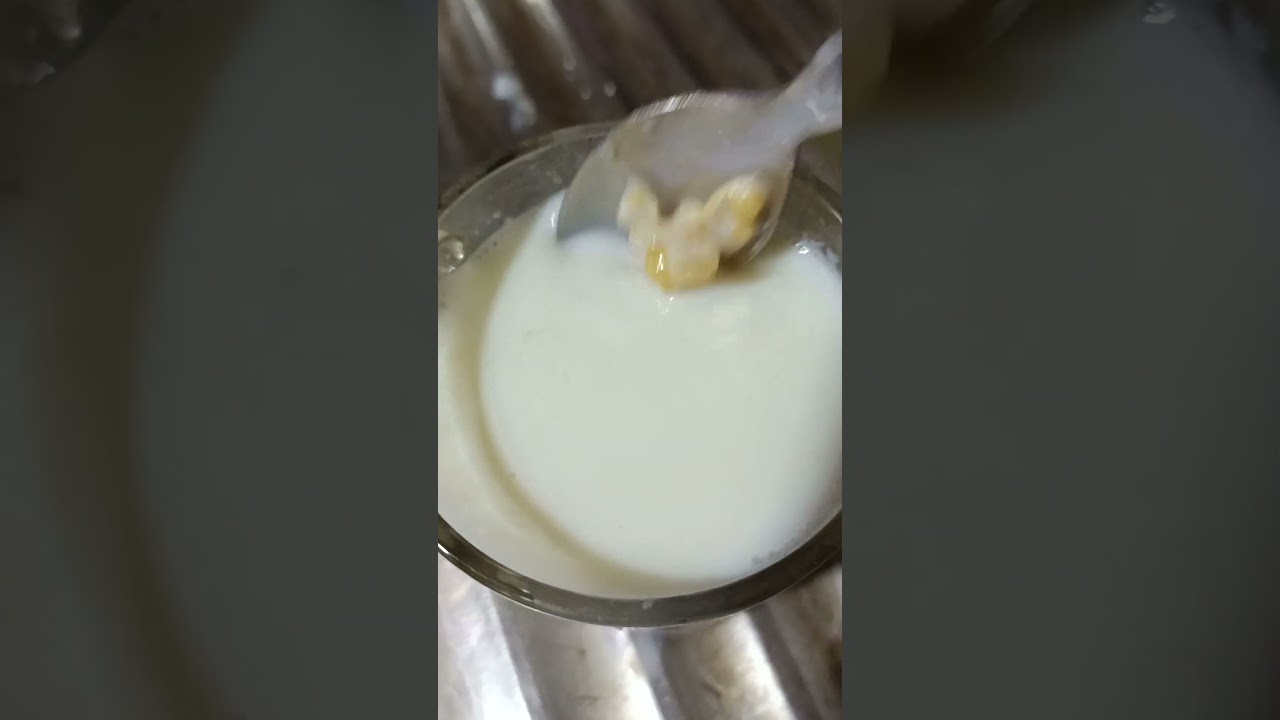 بليلة باللبن 😋😍