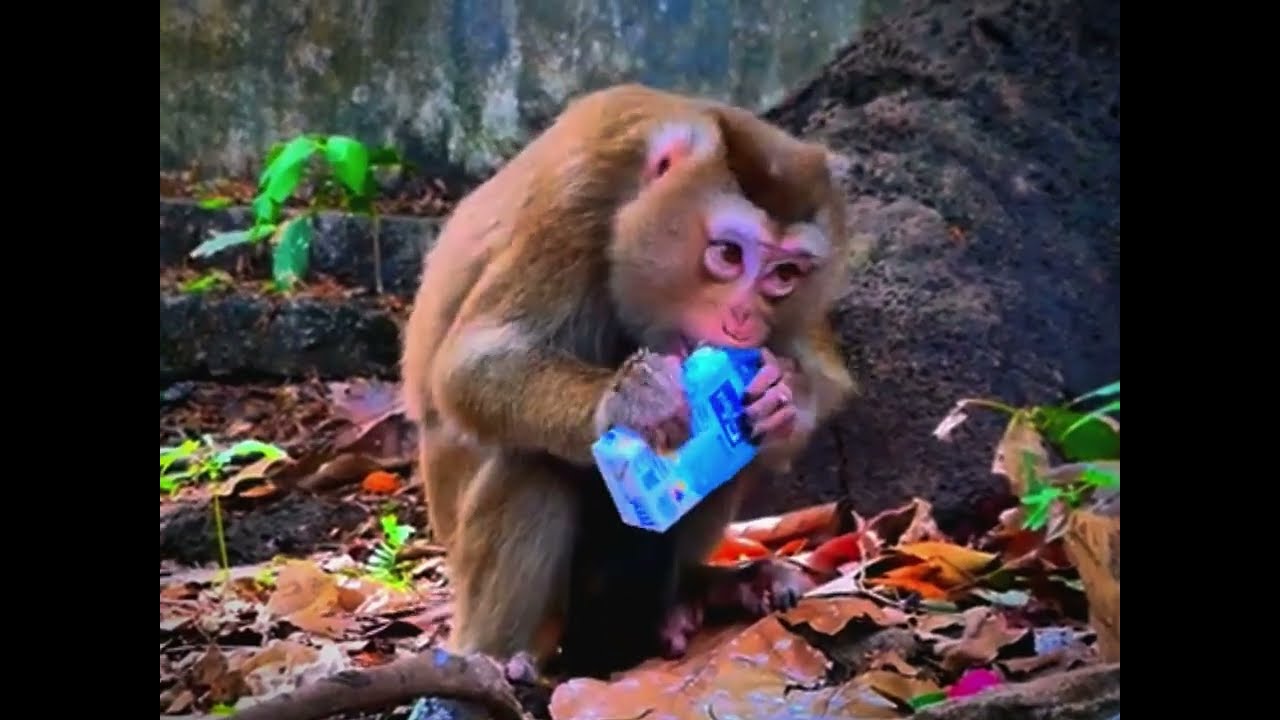 Mother hungry after giving birth
