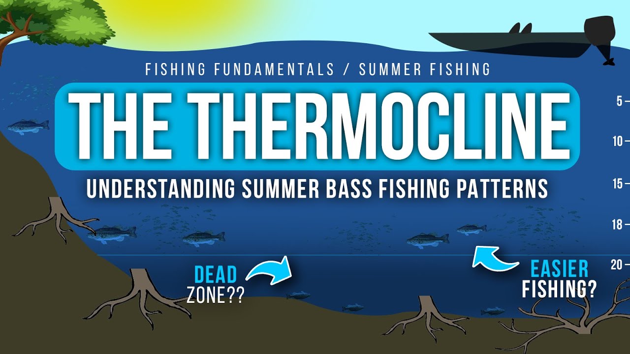 Understanding the THERMOCLINE – Are you fishing the DEAD ZONE ☠️ ??