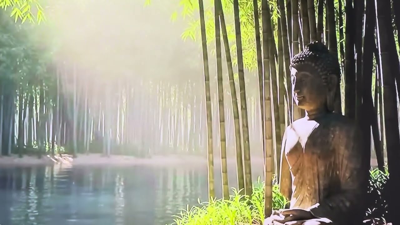 Detox the Mind – Sadhguru’s Guide to Inner Peace