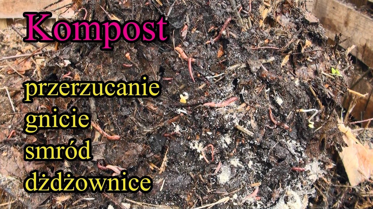 Kompost - przerzucanie, gnicie, smród, dżdżownice