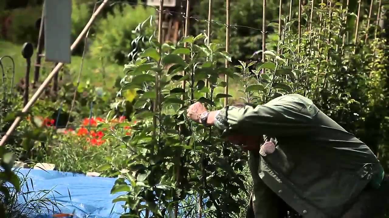Accidents de la main : les bons gestes à adopter en jardinant