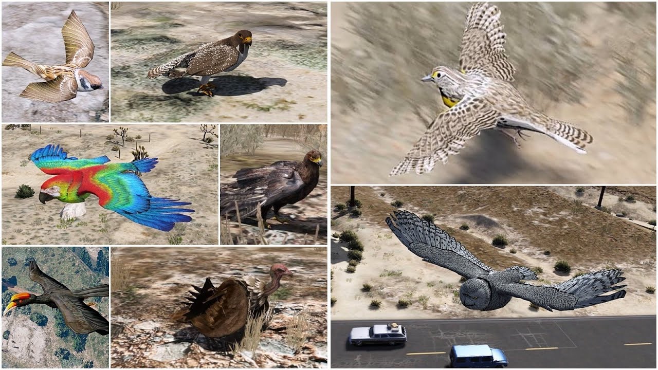 GTA V MODS Bird Package + Landing Script
