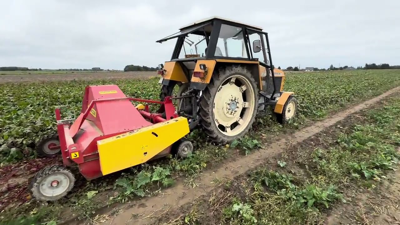 #877- Dwa zbiory z jednego pola w tym samym roku?! Słomek w 916 w uprawie pod nowe pszenice! Pyra!!!