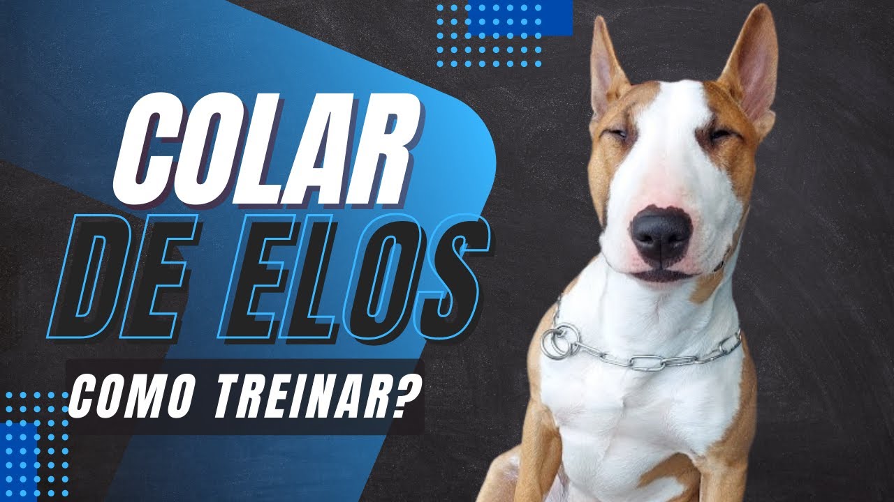 Colar de Elos, como Treinar?