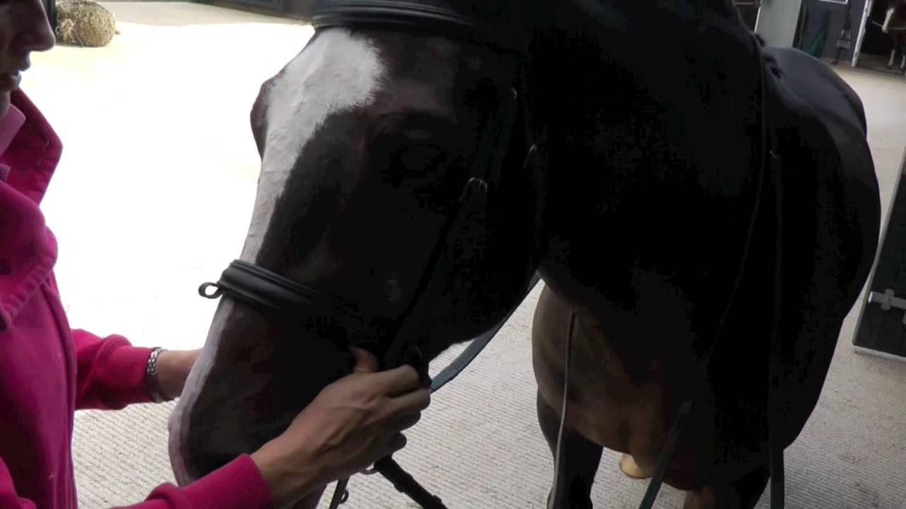 Полезные советы от Джо Джексон | Как правильно установить пелхам | HorseandRider UK