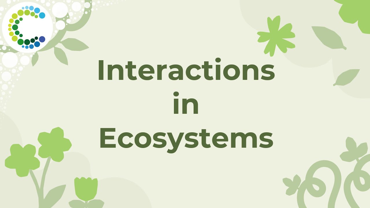Interactions in Ecosystems