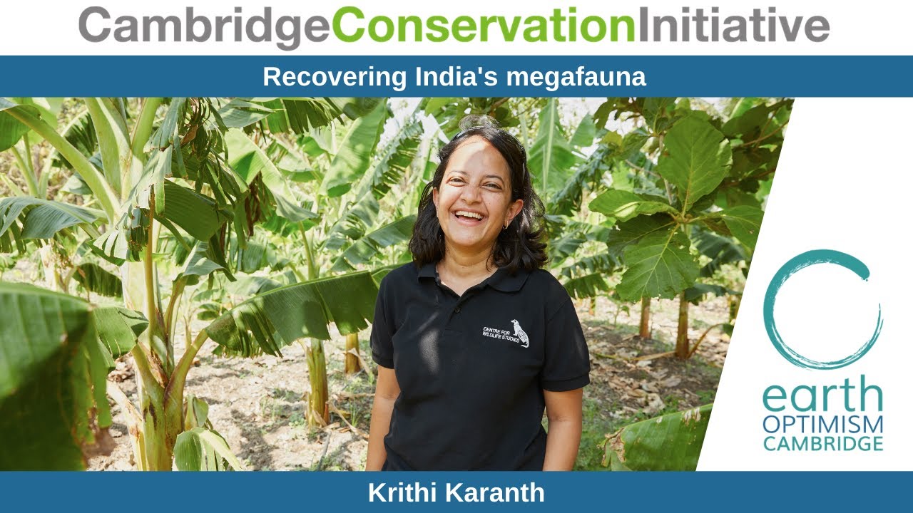 Recovering India's megafauna - Krithi Karanth