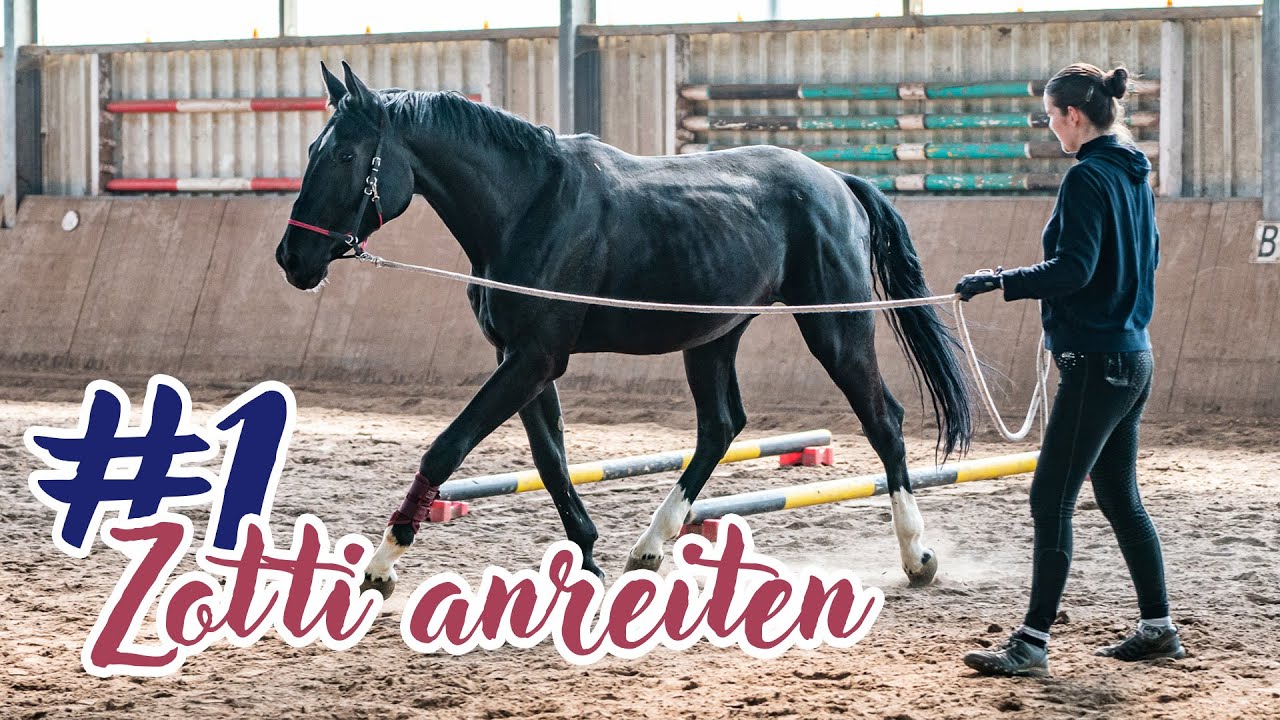 Gewöhnung an den Sattel | Zotti anreiten (1) 