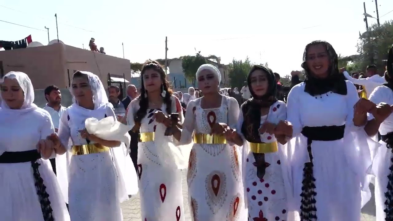 EMOŞ ve HÜSEYİN YILMAZ DÜĞÜNÜNDEN Abdioğlu @komacuwanceyhan3365 #segavi #halay #düğün #siirt