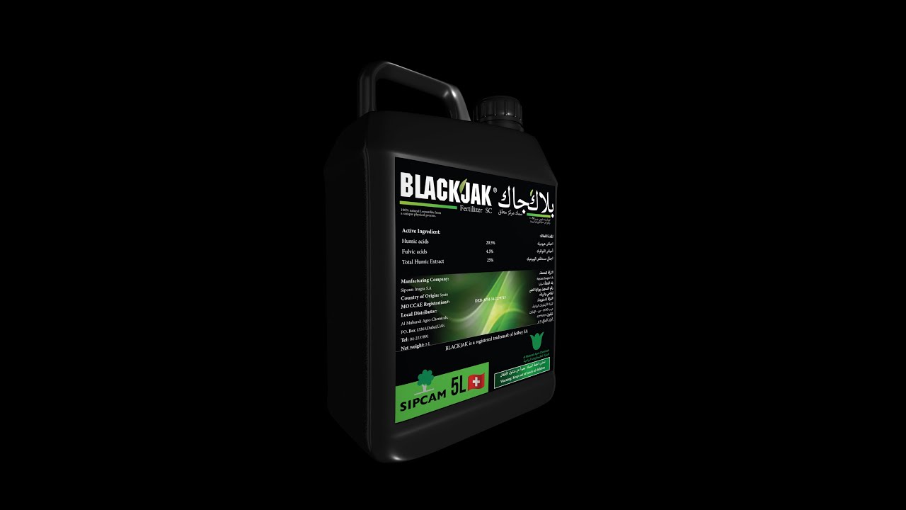 BlackJak