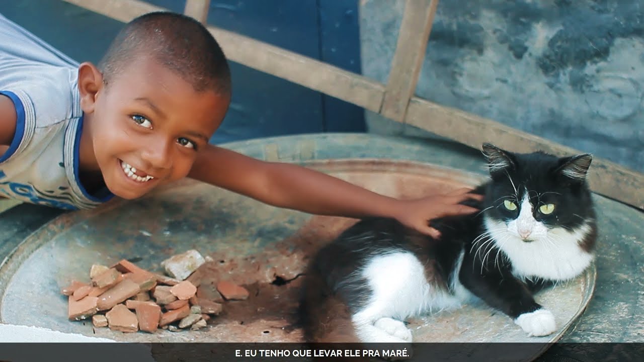 Santo Amaro das Brotas - Primeira Creche Municipal #ProjetarSE