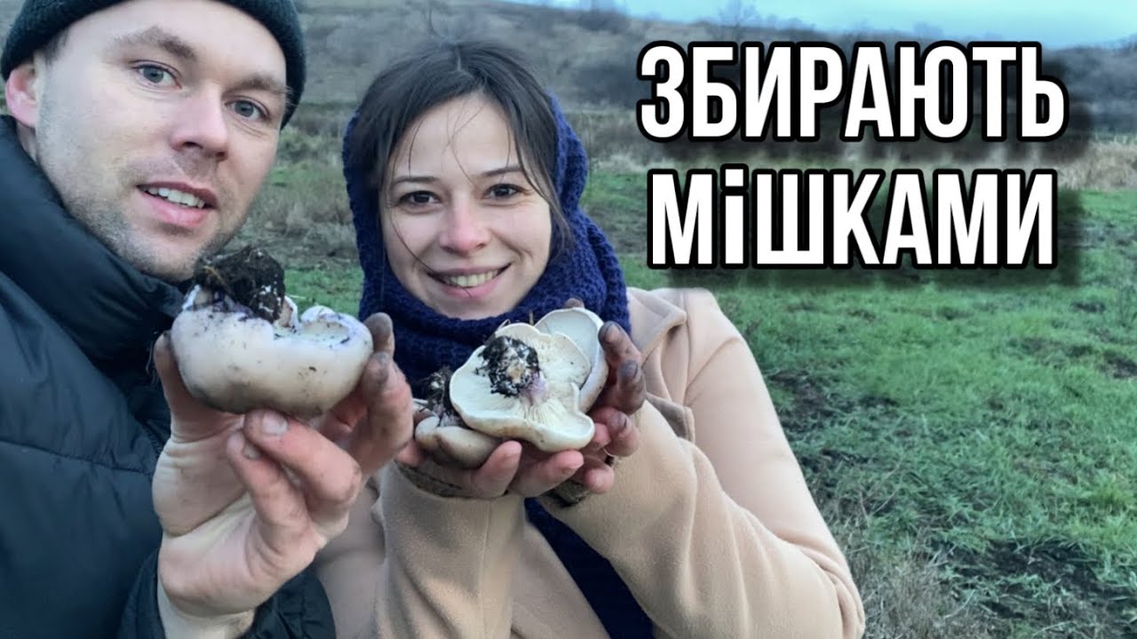 ЦІКАВА ПОЇЗДКА ПО ГРИБИ У ГРУДНІ МІСЯЦІ!