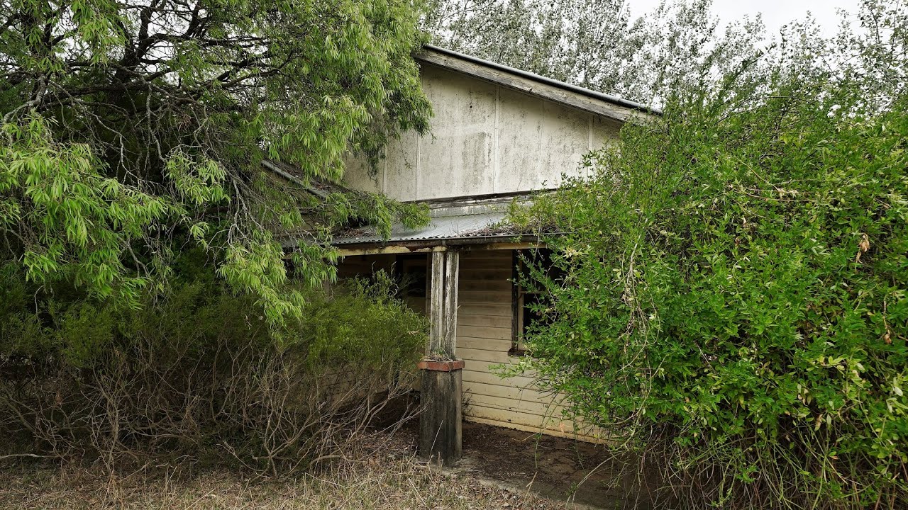 Mysterious old house being taken over by nature/Abandoned 40 years ago/Huge honeycomb