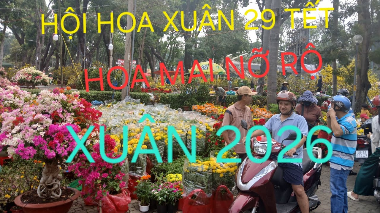 Đông đảo bà con chen nhau đến chợ hoa xuân 2026 