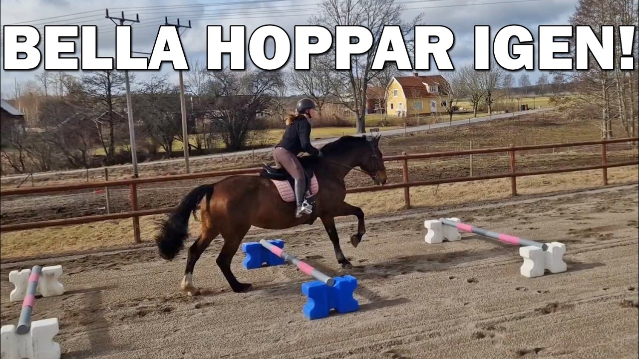 HOPPAR H&Auml;STARNA IGEN - Stallvlogg