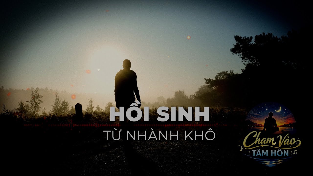 🎧HỒI SINH TỪ NHÀNH KHÔ_CHẠM VÀO TÂM HỒN – Healing Rock & Soul Journey #nhacdem