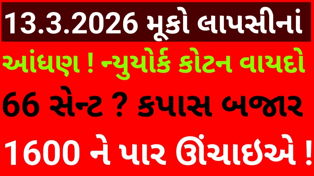 મૂકો લાપસી ના આંધણ કપાસમાં ન્યૂયોર્ક કોટન વાયદો 66 સેન્ટ ? કપાસ 1600 ને પાર ઘરે બેઠા ભાવમાં વધારો ?