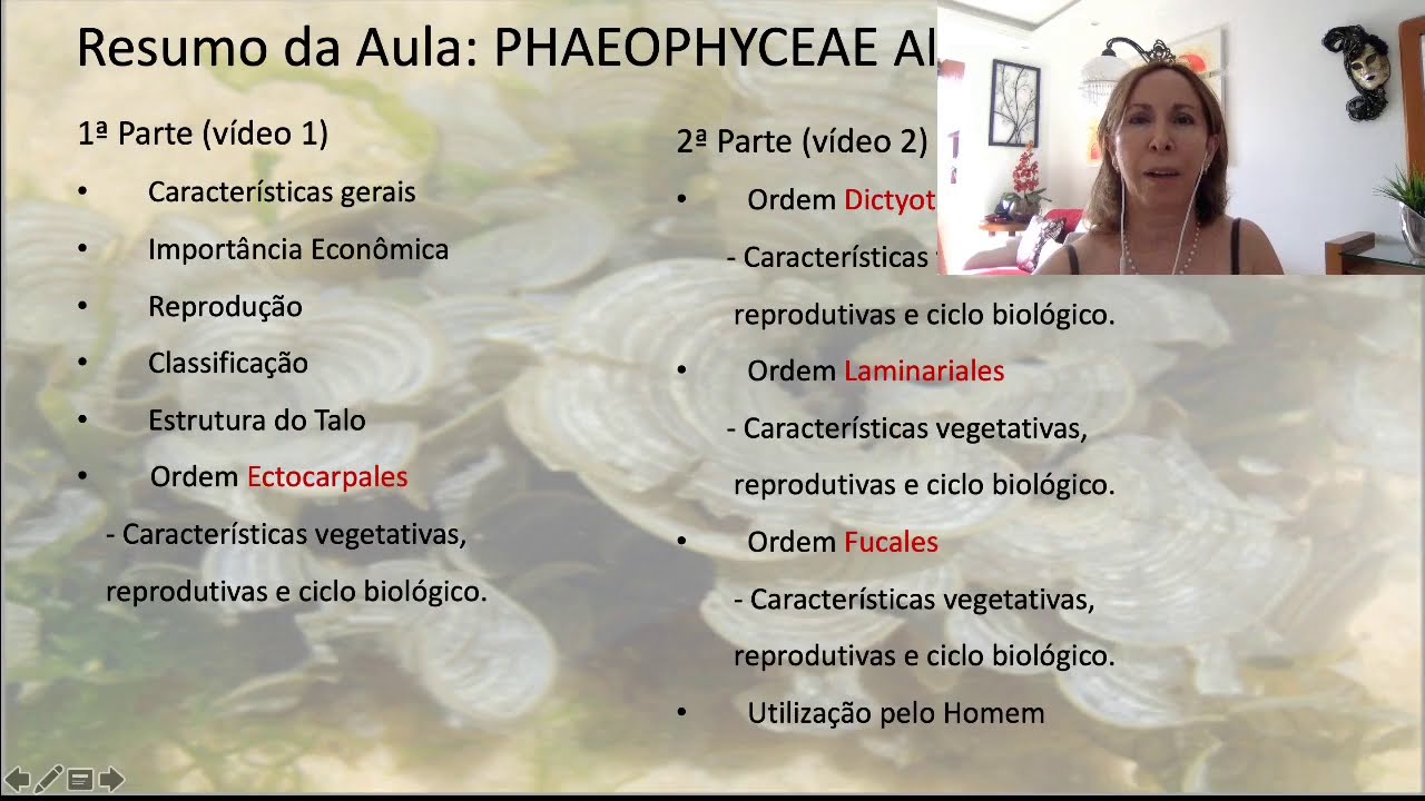 Phaeophyceae parte 2