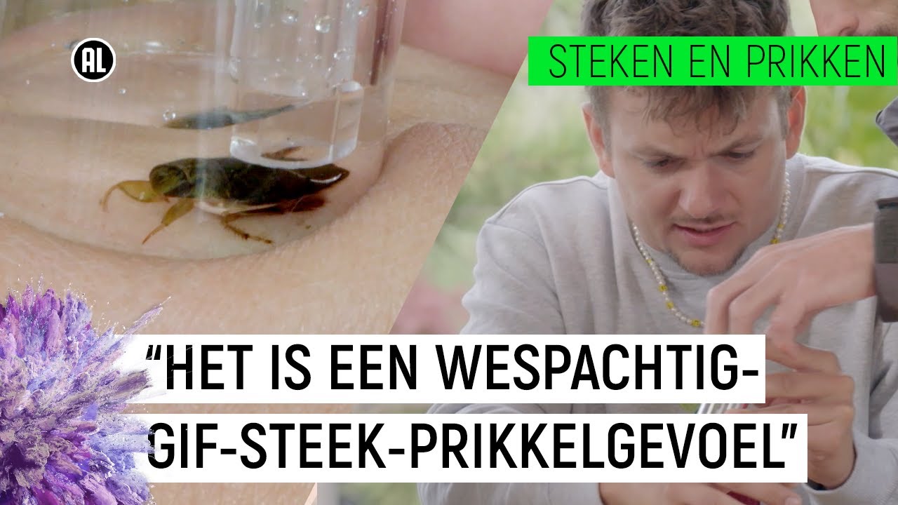 JURRE WORDT GESTOKEN DOOR 