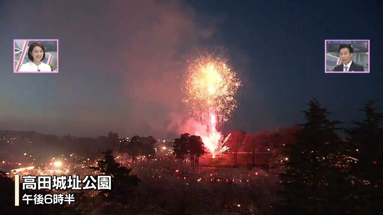 【満開】観桜会で＂オープニング花火”が打ちあがる　桜満開の高田城址公園で夜空に大輪の花　《新潟・上越市》