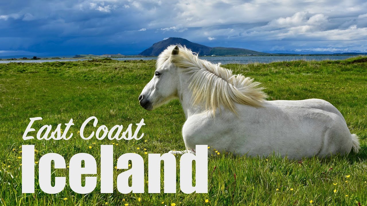 Iceland Ring Road | Days 3 & 4 | Fjords, Volcanos, Horses