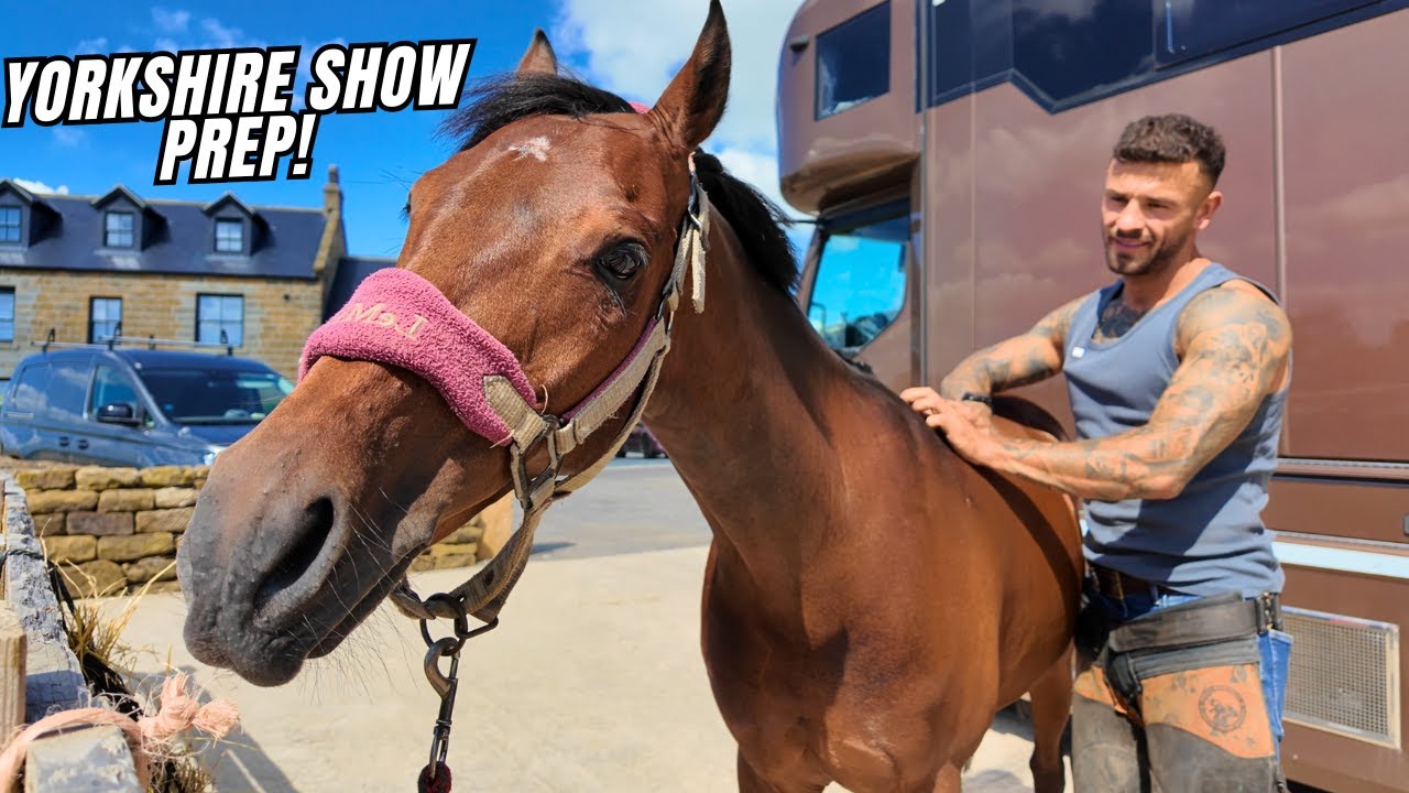 Yorkshire show prep! & Bullseye the SHETLAND Racing pony! Vlog - 15