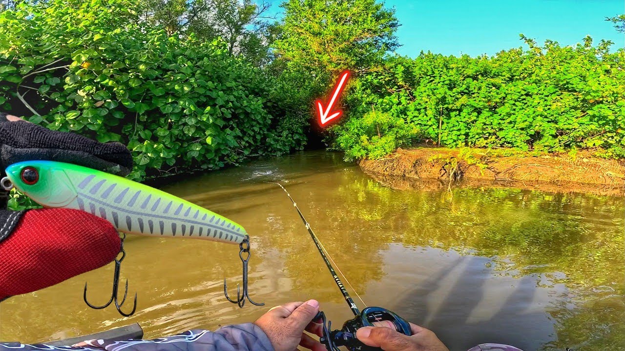 🟡 Fiz isso... para pegar os ROBALOS Manhosos do Mangue   | Pescaria de Robalos com iscas artificiais