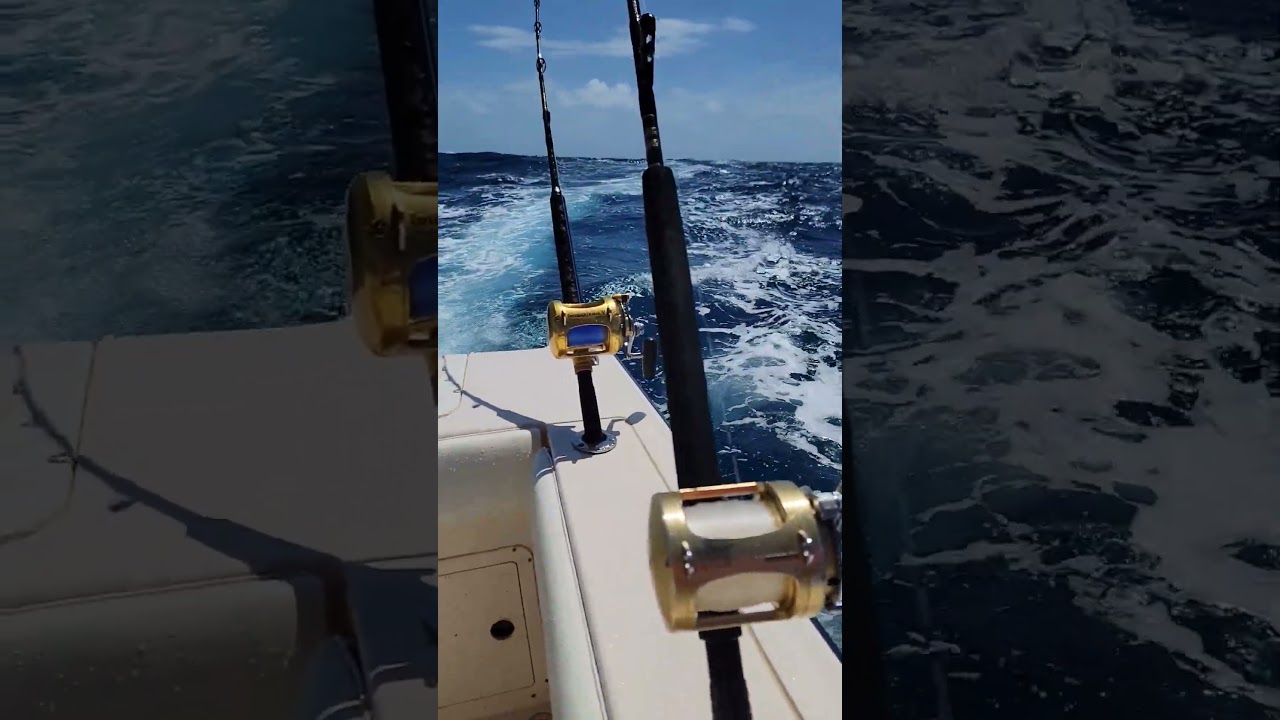 Trolling the deep.. #fishing #boat #boating
