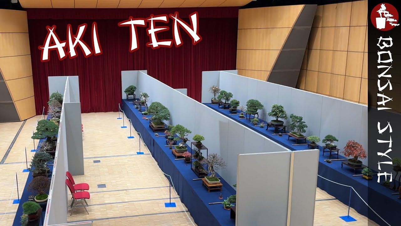 Aki Ten 2025 | (fast) alle Bäume und ganz viel Spass | #128