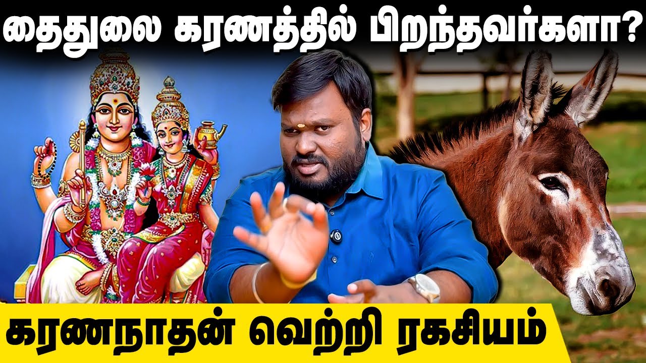 கழுதைக்கு நிகரான குணம் கொண்ட தைதுலை கரணத்தில் பிறந்தவர்கள்! #கழுதை #தைதுலை #astrology Akil Siddharth
