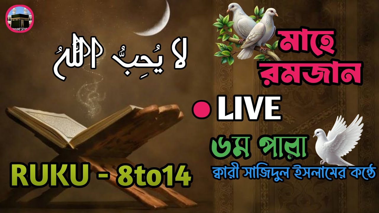 ক্বারী সাজিদুল ইসলামের কন্ঠে🩷🩷 ৬ম পারা ক্বুরআন তিলাওয়াত #live #quran #6thpara #viral