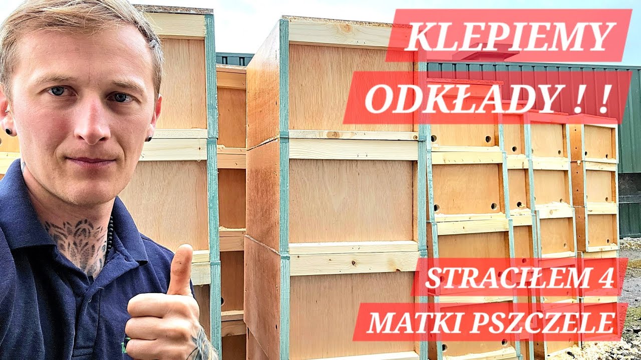 STRACIŁEM MATKI PSZCZELE, Budowa uli odkladowych, jak mi idzie ? #pszczoły #odkłady #pszczelarz